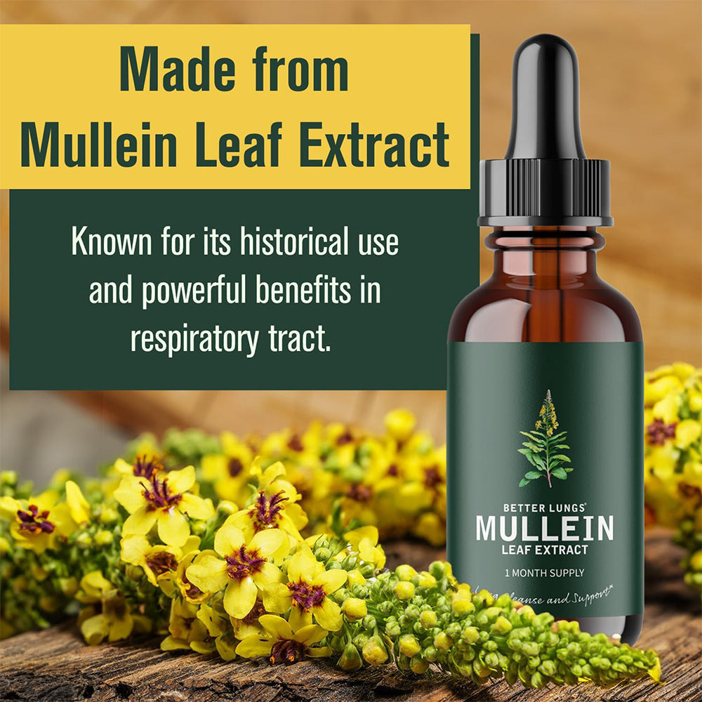 Gluten-Free Mullein and Chlorophyll Tincture