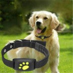 GPS Dog & Cat Collar