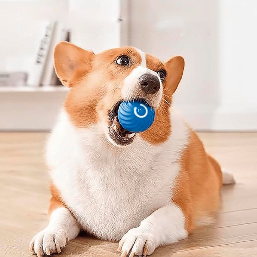 Automatic Moving Ball