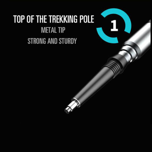 Multi-Tool Walking Stick