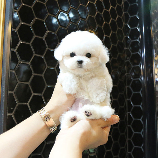 Lifelike Plush Dog Figure