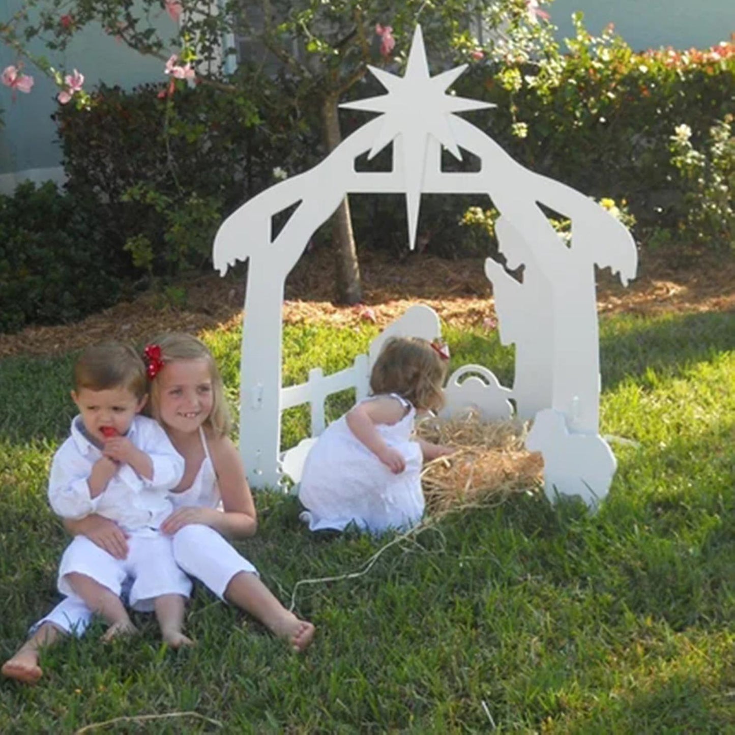 Outdoor Holiday Nativity Scene Set