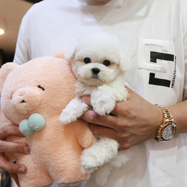 Lifelike Plush Dog Figure