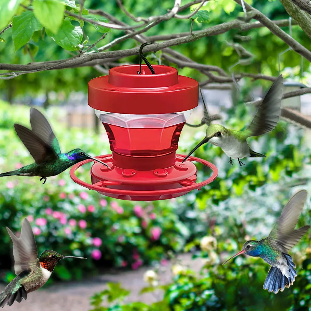 Bee-Resistant Hanging Hummingbird Feeder with Perch