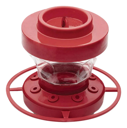 Bee-Resistant Hanging Hummingbird Feeder with Perch