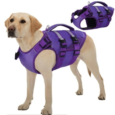 Weatherproof Dog Jacket with Harness Support