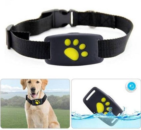 GPS Dog & Cat Collar