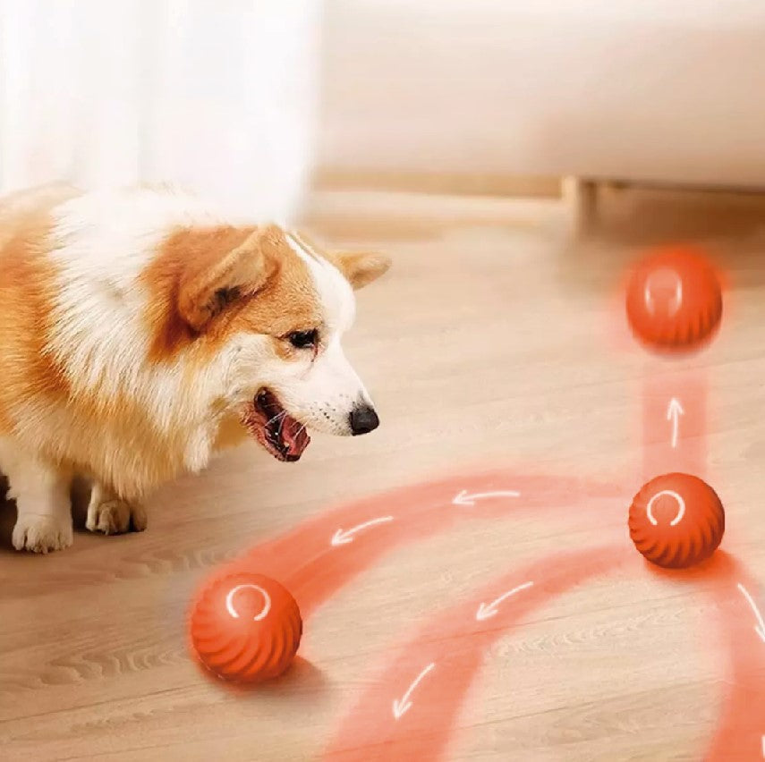 Automatic Moving Ball