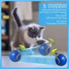 Motion Toy for Active Cats