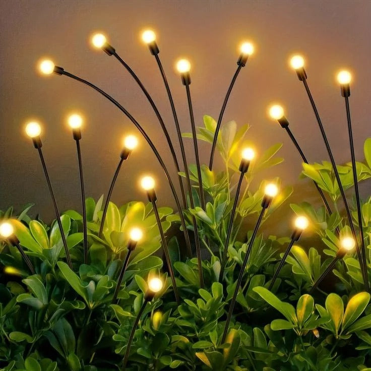 Firefly Solar Lights