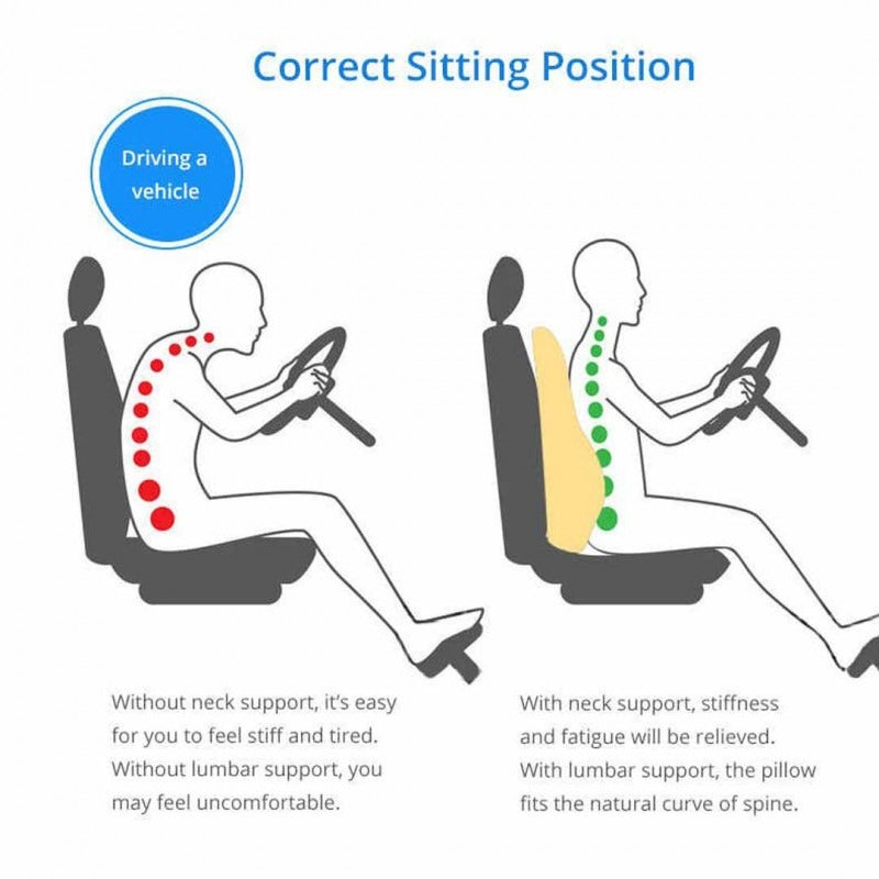 Supportive Cushion for Seated