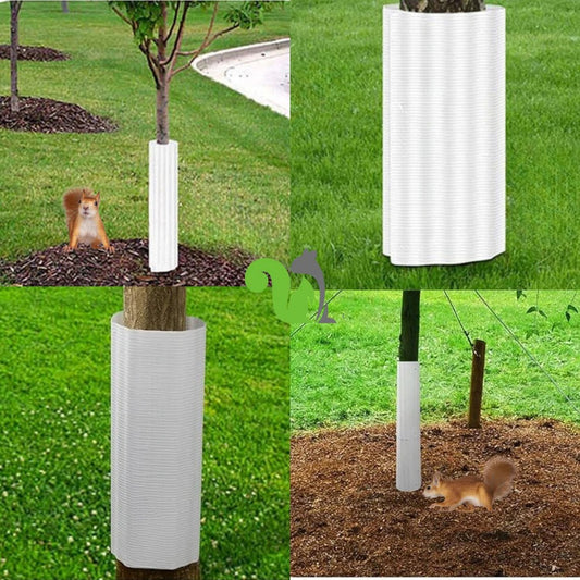 Tree-mounted barrier for squirrels