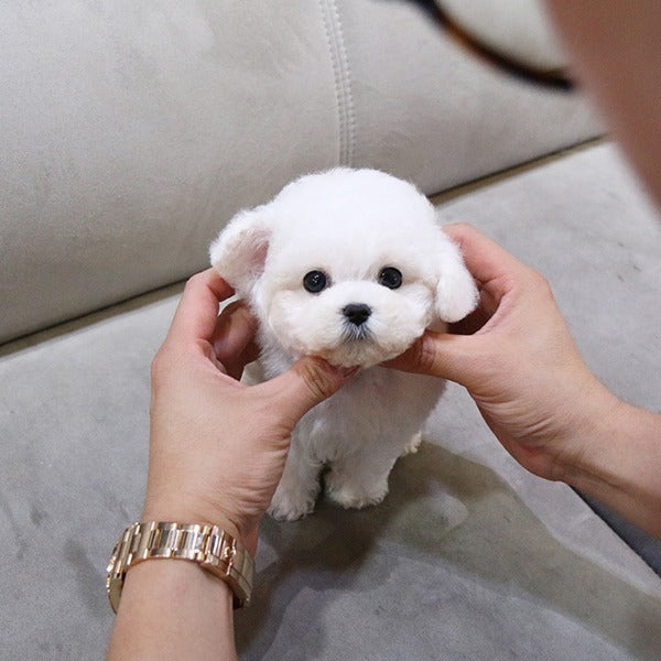 Lifelike Plush Dog Figure