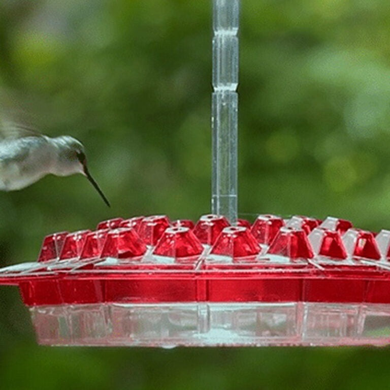 Outdoor Hanging Feeder