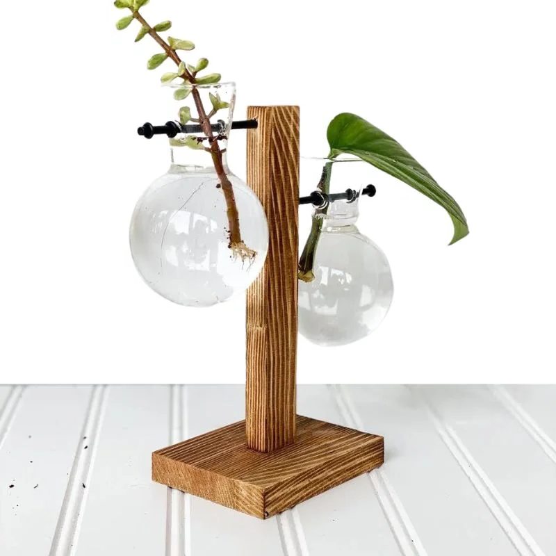 Wooden Frame Hydroponic Plant Vase