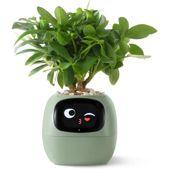 Smart Plant Pot