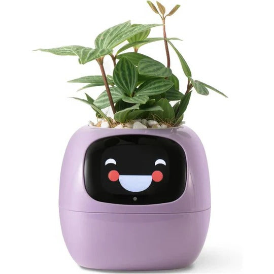 Smart Plant Pot