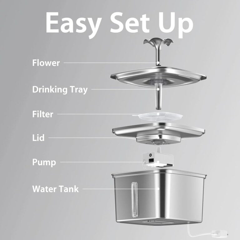 Pet water dispenser with filtration