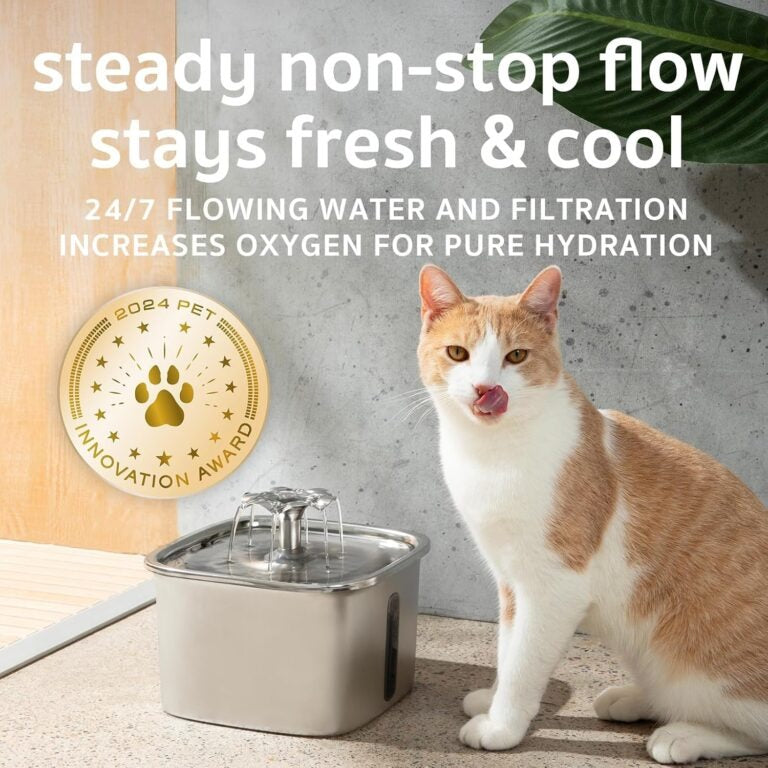 Pet water dispenser with filtration