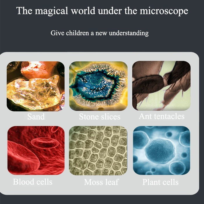 Pocket Microscope