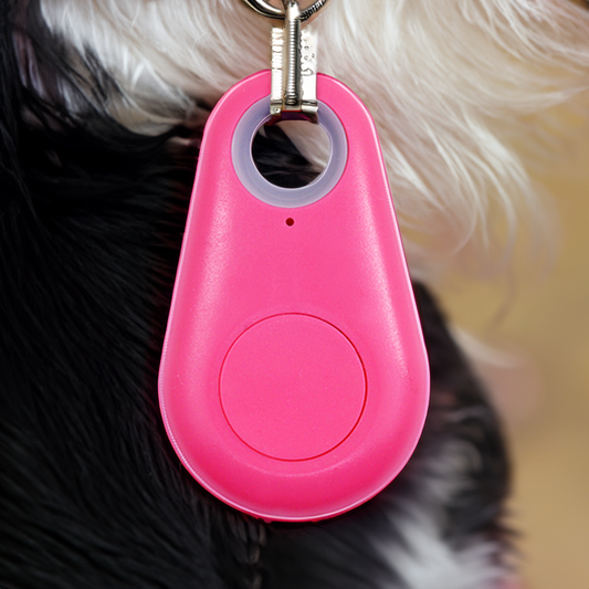 Bluetooth Pet Tracker for Dogs and Cats