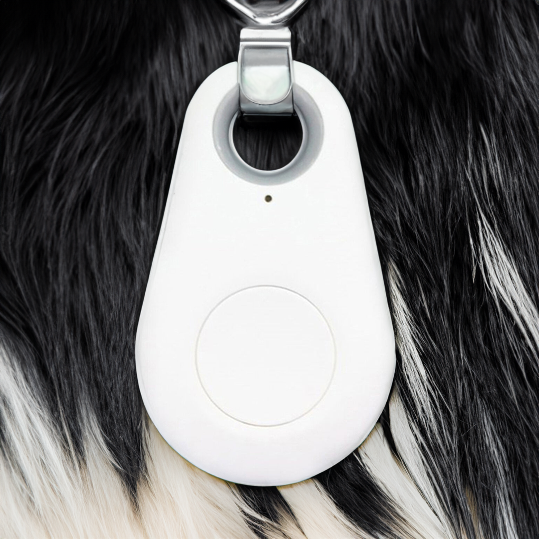 Bluetooth Pet Tracker for Dogs and Cats