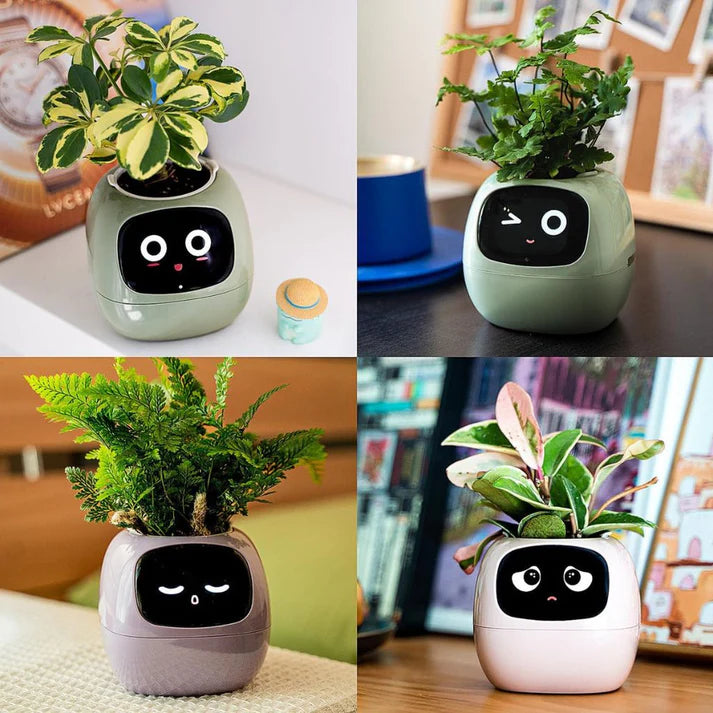 Smart planter with automated care