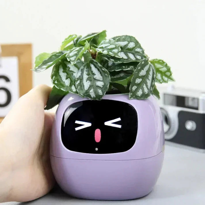 Smart planter with automated care
