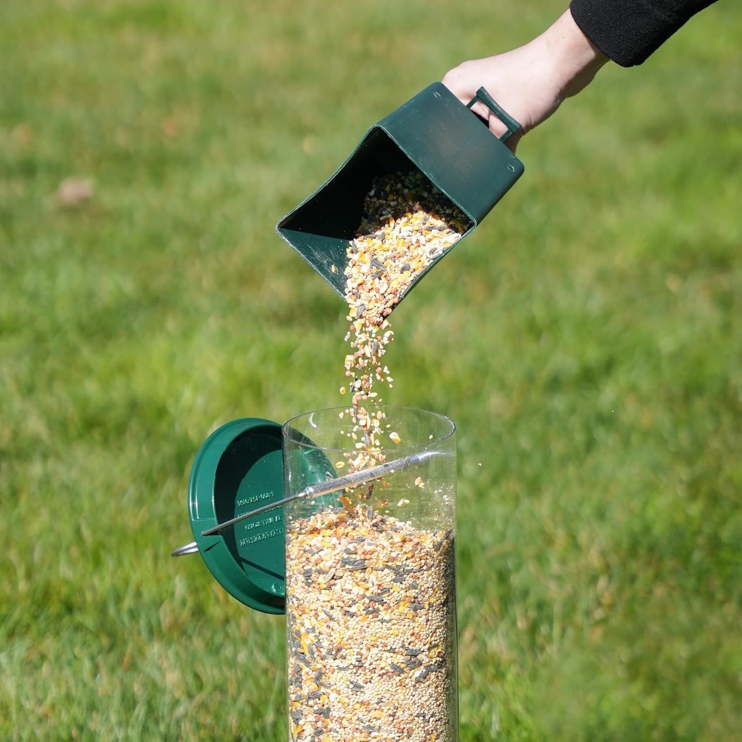 Bird Feeder with Squirrel Protection