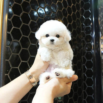 Lifelike Plush Dog Figure