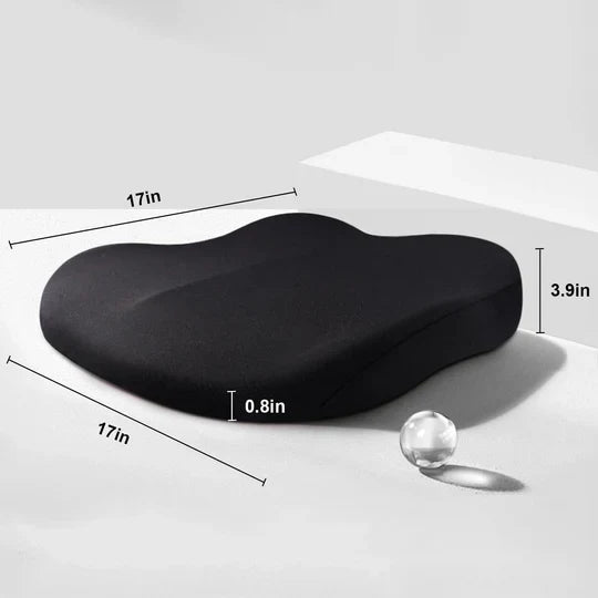 Adult Car Seat Booster