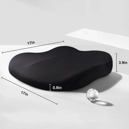 Adult Car Seat Booster