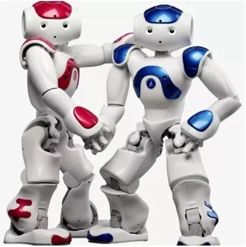 Advanced AI-Powered Interactive Robot
