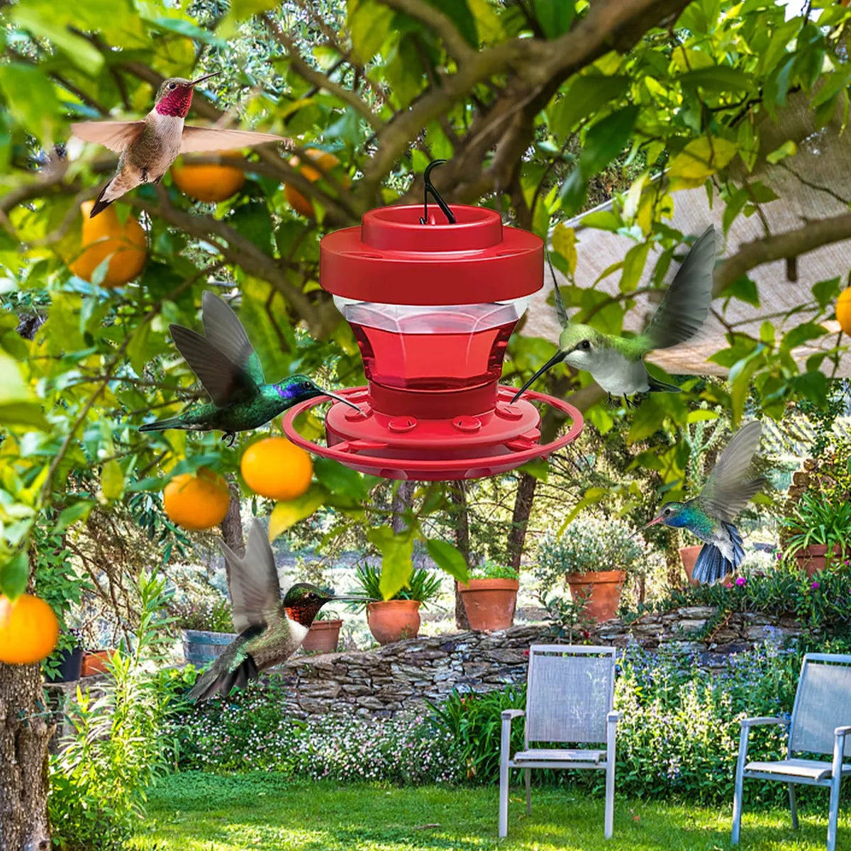 Bee-Resistant Hanging Hummingbird Feeder with Perch