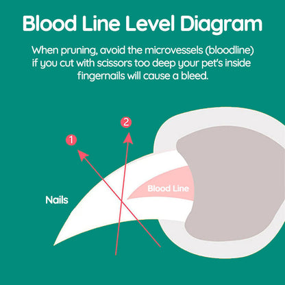 Dog Nail Clipper With Quick Sensors