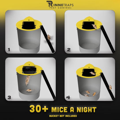 Eco-Friendly Bucket Mouse Trap – Safe Live Capture