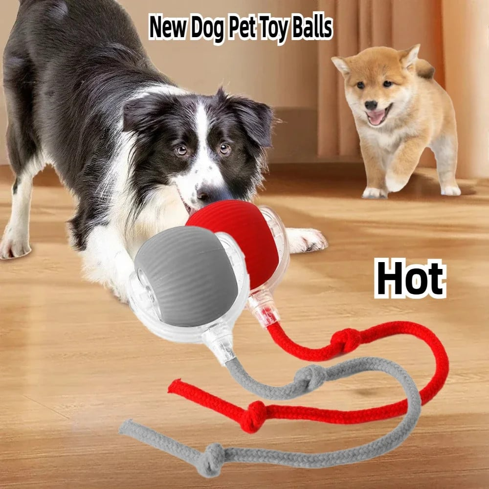 Interactive Rolling Ball Toy with Tail for Dogs and Cats