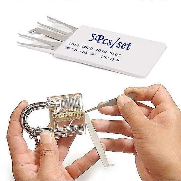 Professional Auto Lock Pick Extractor Tool