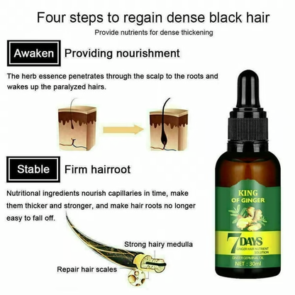 Ginger Hair Growth Germinal Oil – Regrow 7 Days Ginger Germinal Serum for Nourishing Hair Roots