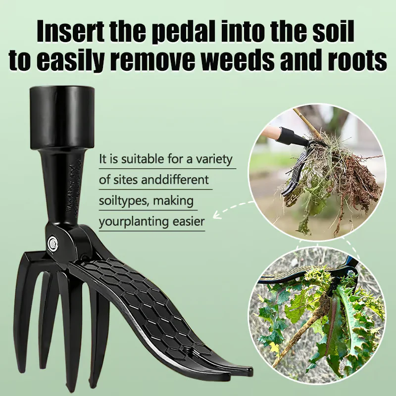 Adjustable Stainless Steel Weed Puller with Long Detachable Handle