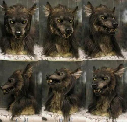 Realistic Scary Wolf Costume Mask for Halloween Events