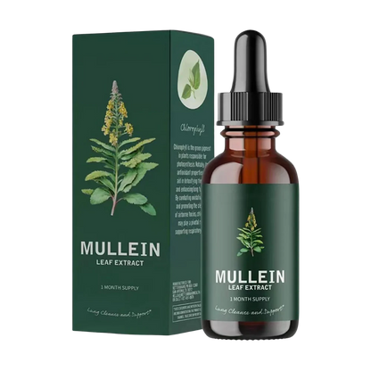 Gluten Free Mullein For Lung Health