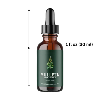 Gluten Free Mullein For Lung Health