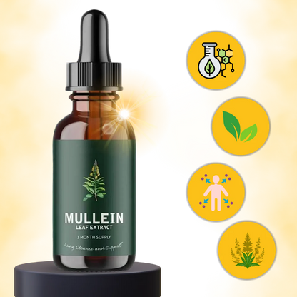 Gluten Free Mullein For Lung Health