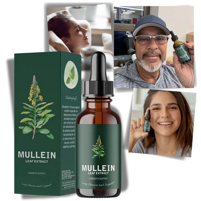Gluten Free Mullein For Lung Health