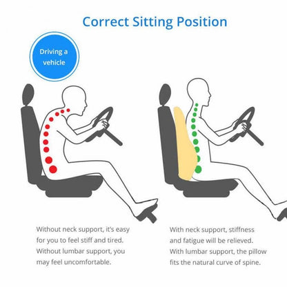 Supportive Cushion for Seated