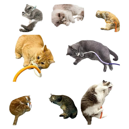 Cat Chew Toys for Playful Kittens
