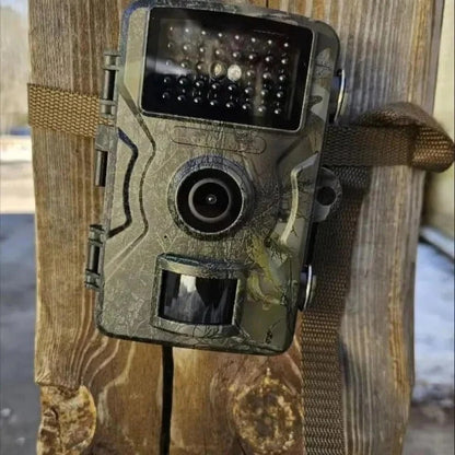 Night Vision Outdoor Wildlife Animal Camera