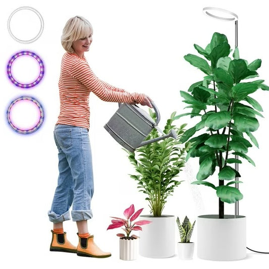LED Grow Light for Indoor Plants