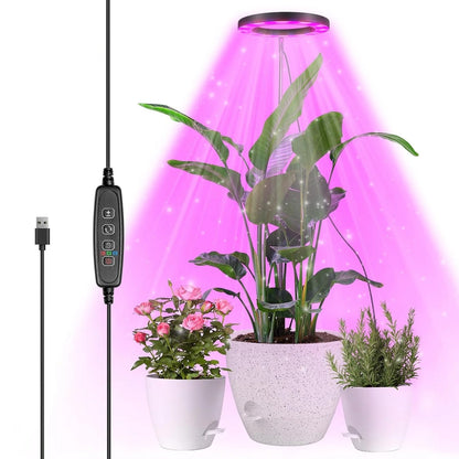 LED Grow Light for Indoor Plants